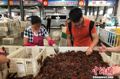 资料图：水产档口里的工人正在分拣小龙虾 董晓斌 摄